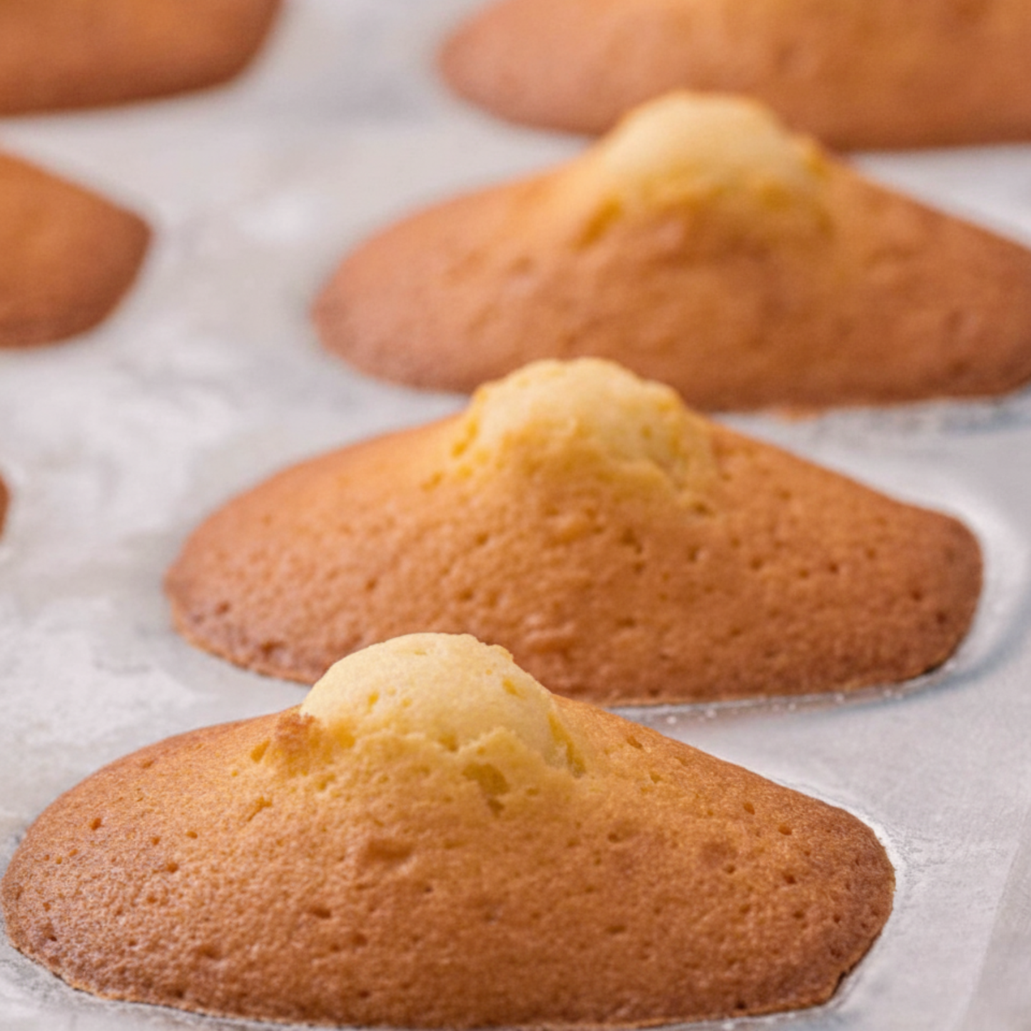 Madeleines